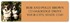 Welsh Corgi Address Labels Image 2